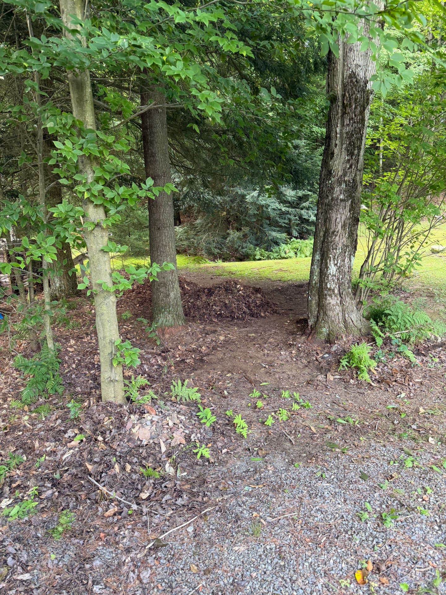 After — Junk pile cleanout Haul or Nothing Vermont job